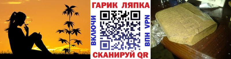 купить закладку Заводоуковск нарко площадка какой сайт ГАШ Premium