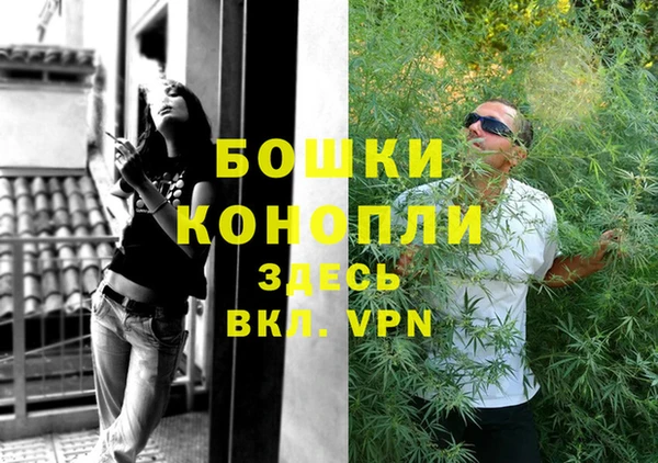 таблы Дмитриев