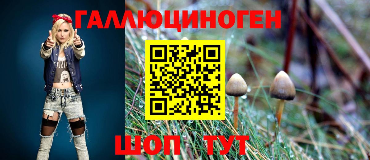 Заводоуковск  Галлюциногенные грибы Magic Shrooms  Вход с VPN 