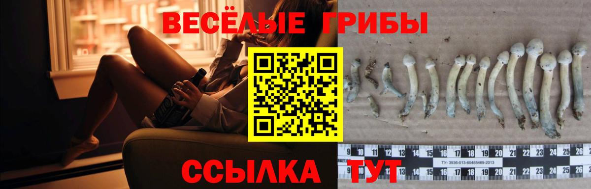 Галлюциногенные грибы GOLDEN TEACHER Заводоуковск