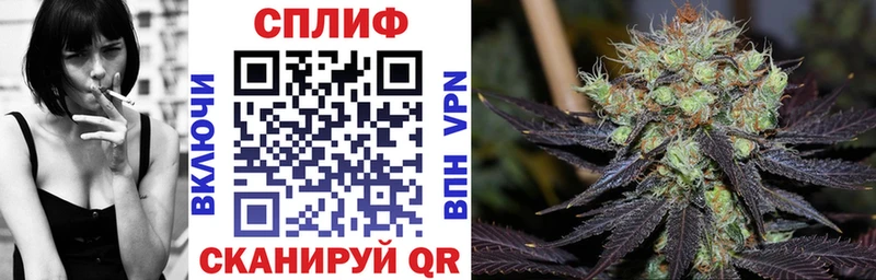 Бошки Шишки план  ОМГ ОМГ как зайти  Заводоуковск 